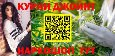 гидропоника Камышлов