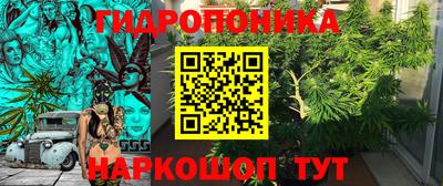 гидропоника Камышлов