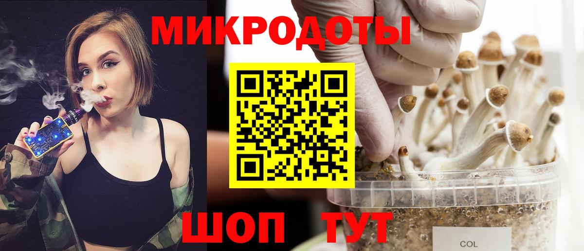 Псилоцибиновые грибы Psilocybine cubensis Курчалой